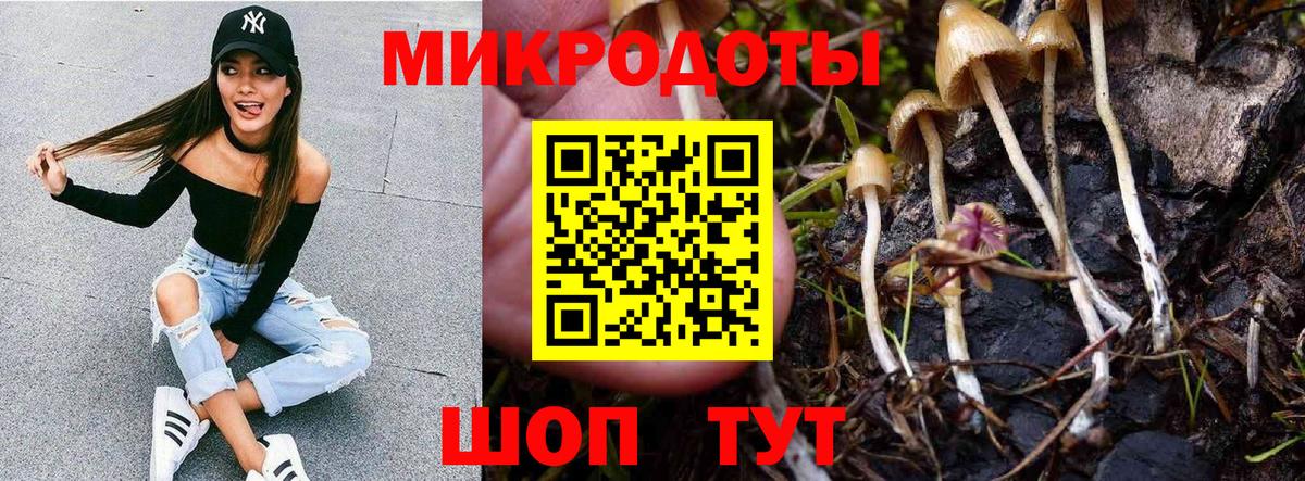 Вятские Поляны  Галлюциногенные грибы Magic Shrooms  Вход с VPN 